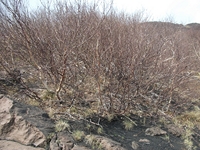 rra delle Concazze-201100508 086